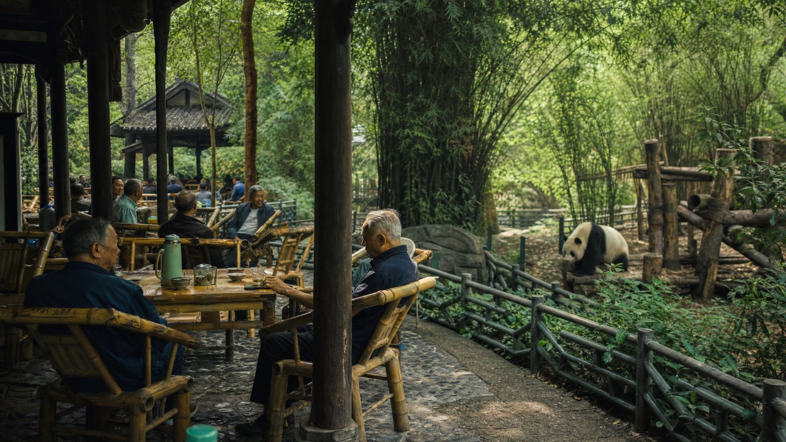 Chengdu planning image for local highlights, cultural context and China route planning