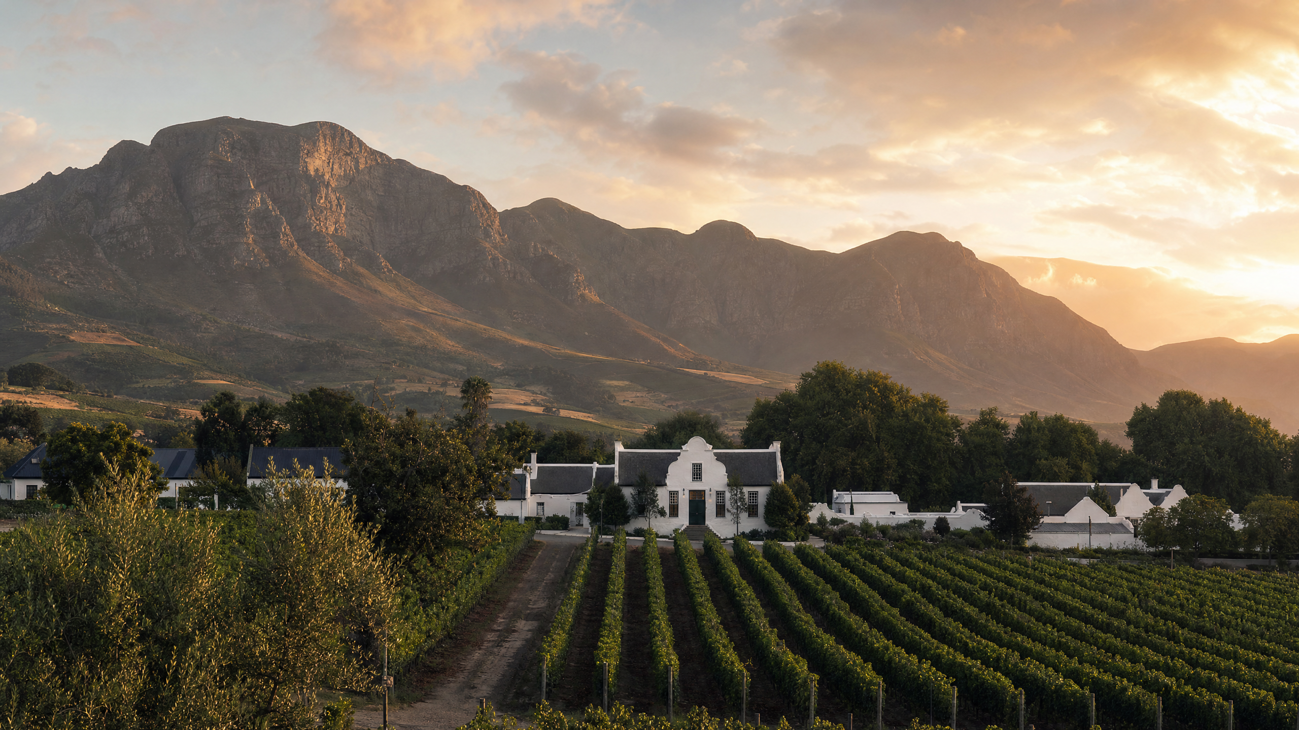 Cape Winelands planning image for local highlights, cultural context and South Africa route planning
