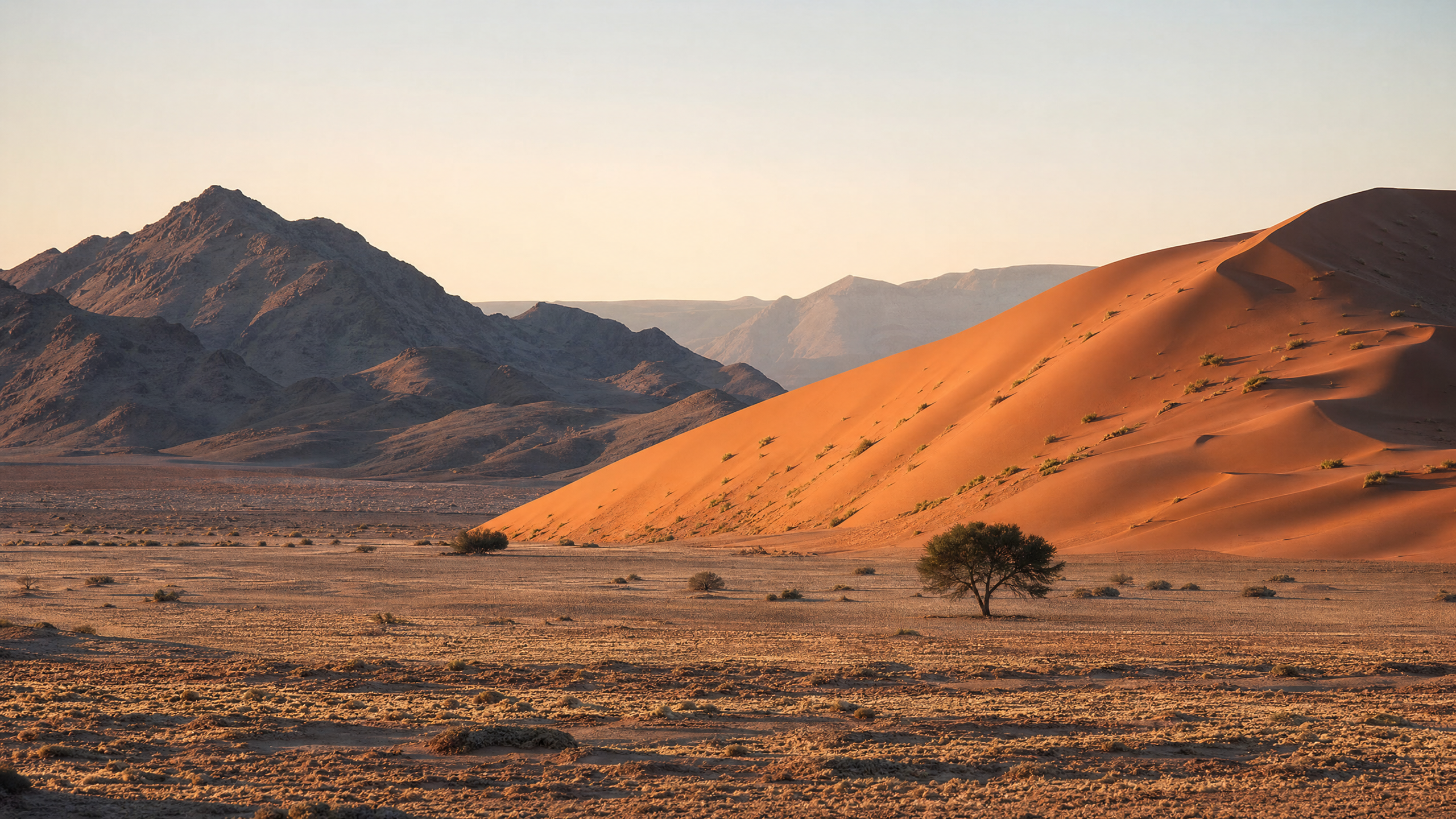 Sossusvlei and Namib Desert planning image for local highlights, cultural context and Namibia route planning