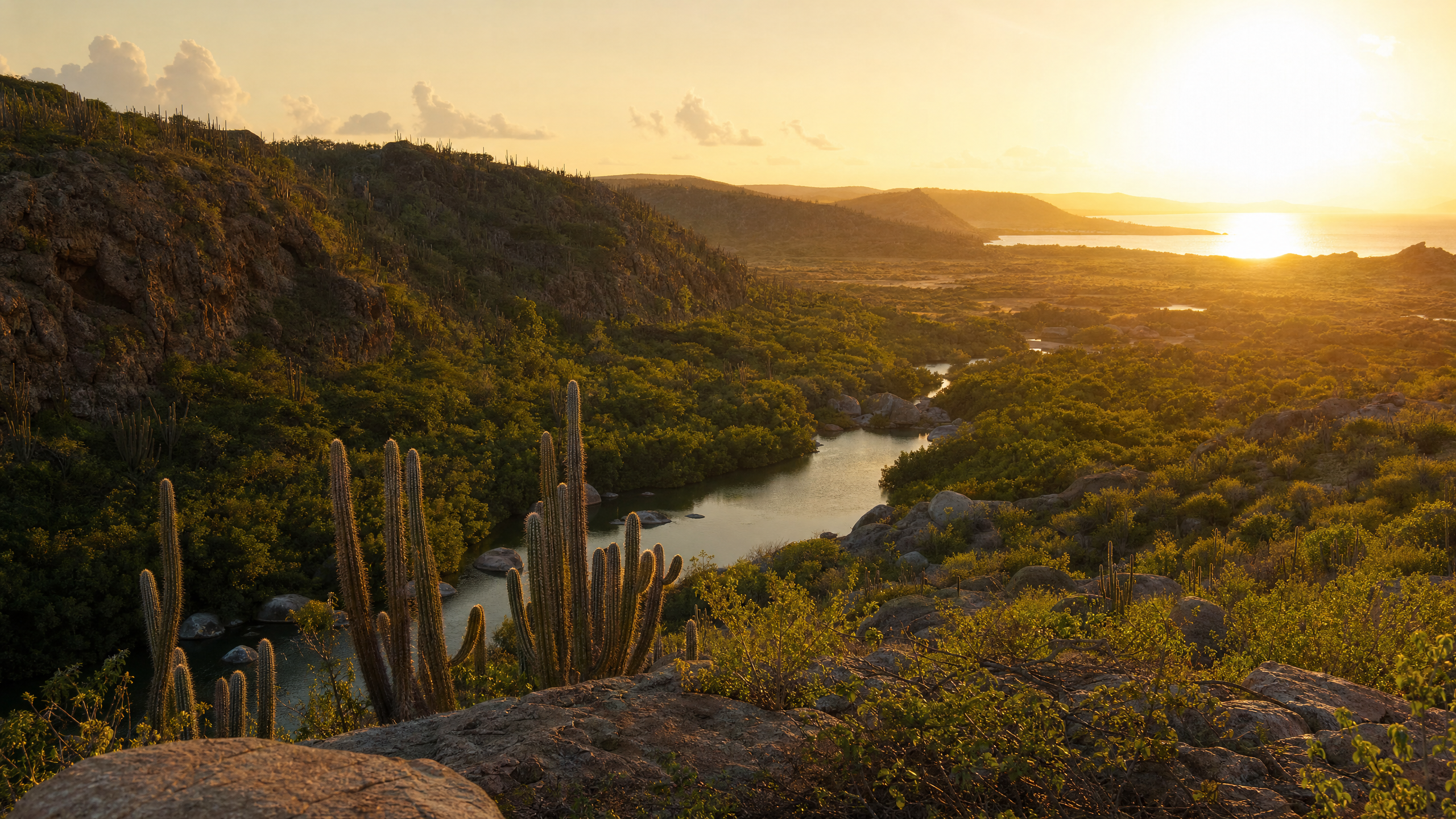 Arikok National Park planning image for local highlights, cultural context and Aruba route planning