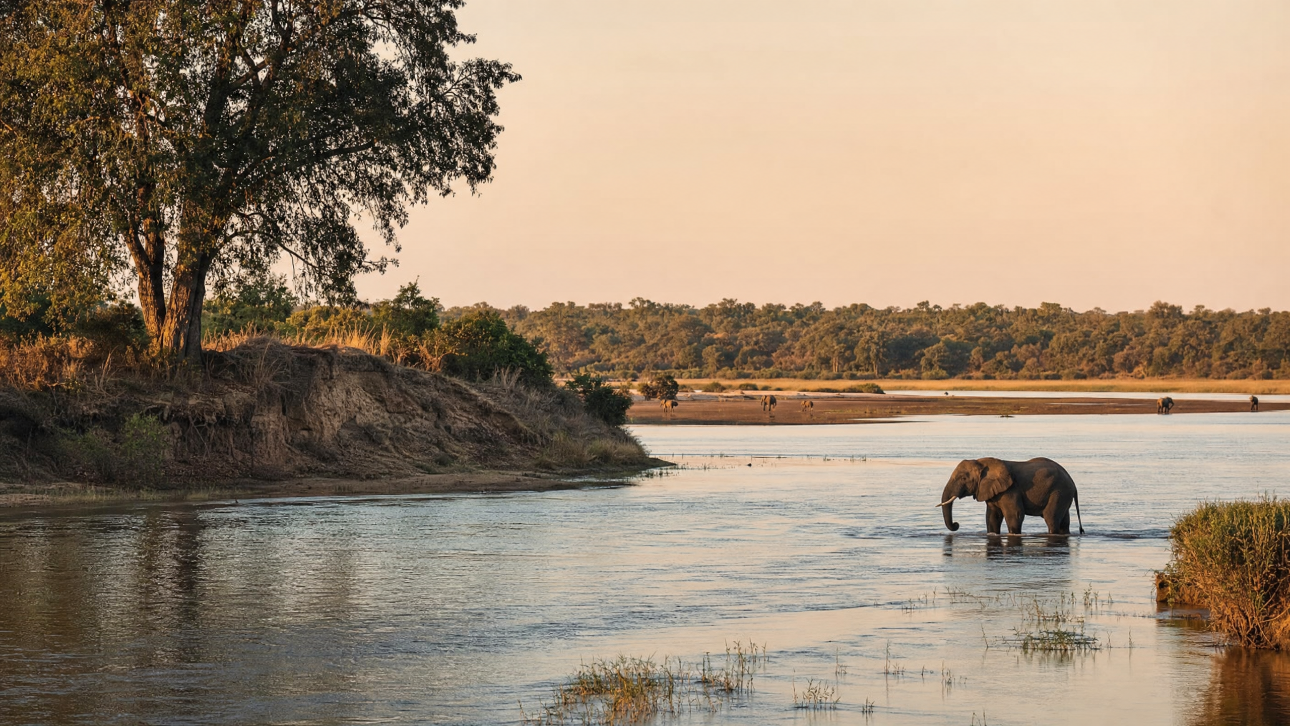 Kafue National Park planning image for local highlights, cultural context and Zambia route planning