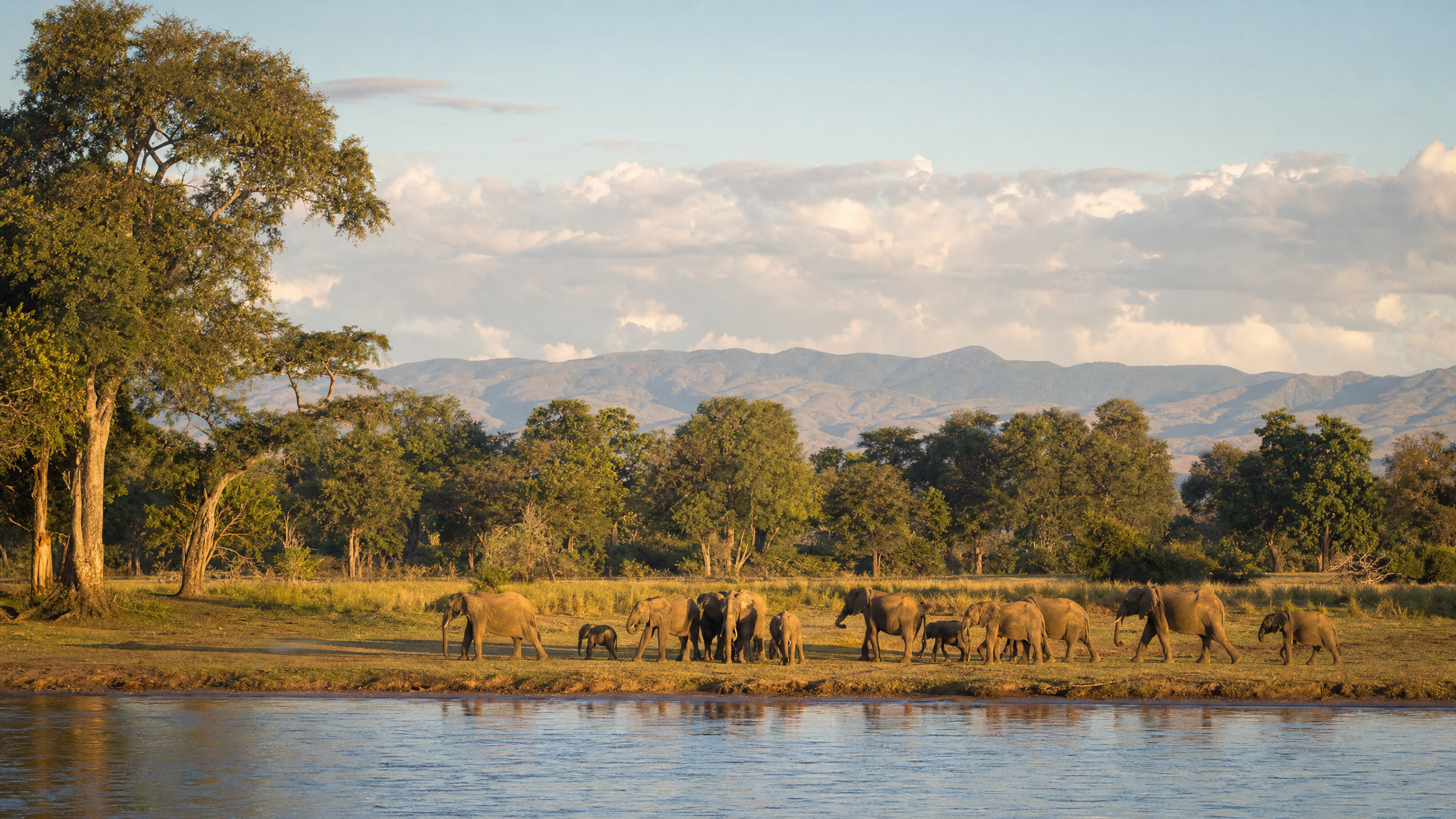 Lower Zambezi planning image for local highlights, cultural context and Zambia route planning