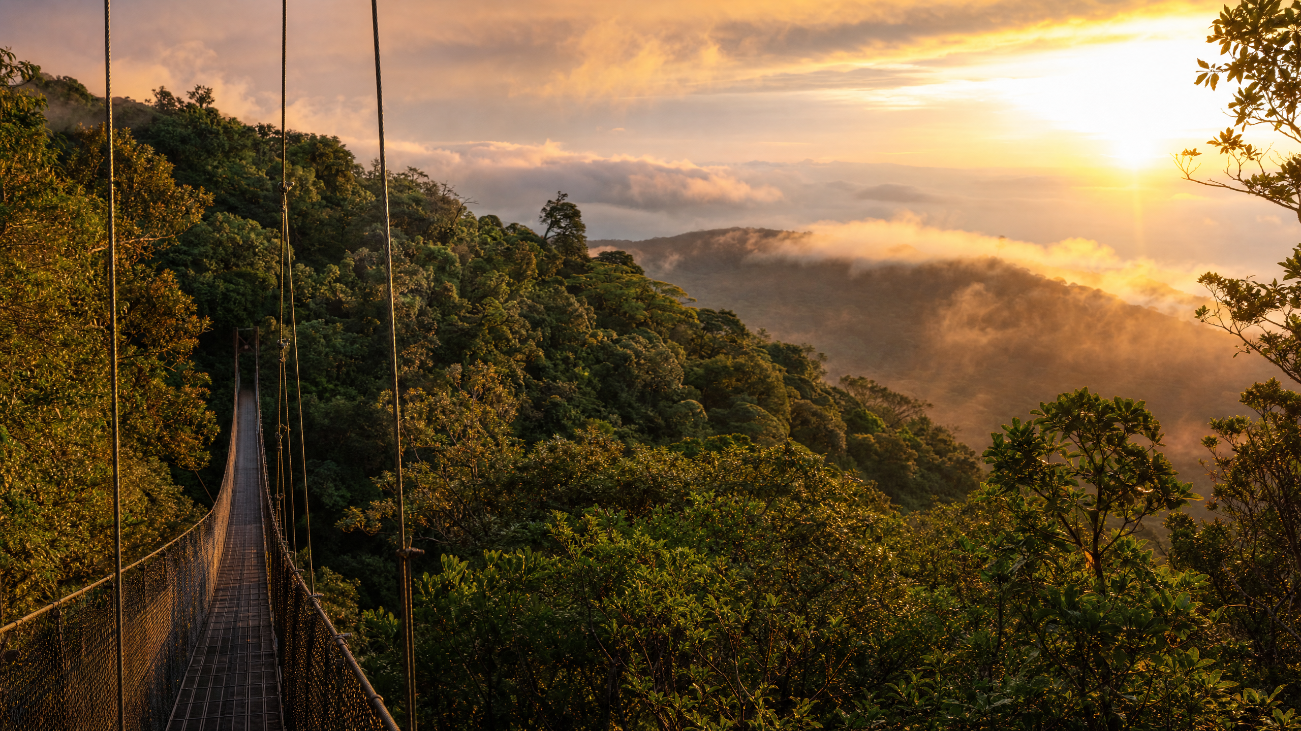 Monteverde planning image for local highlights, cultural context and Costa Rica route planning