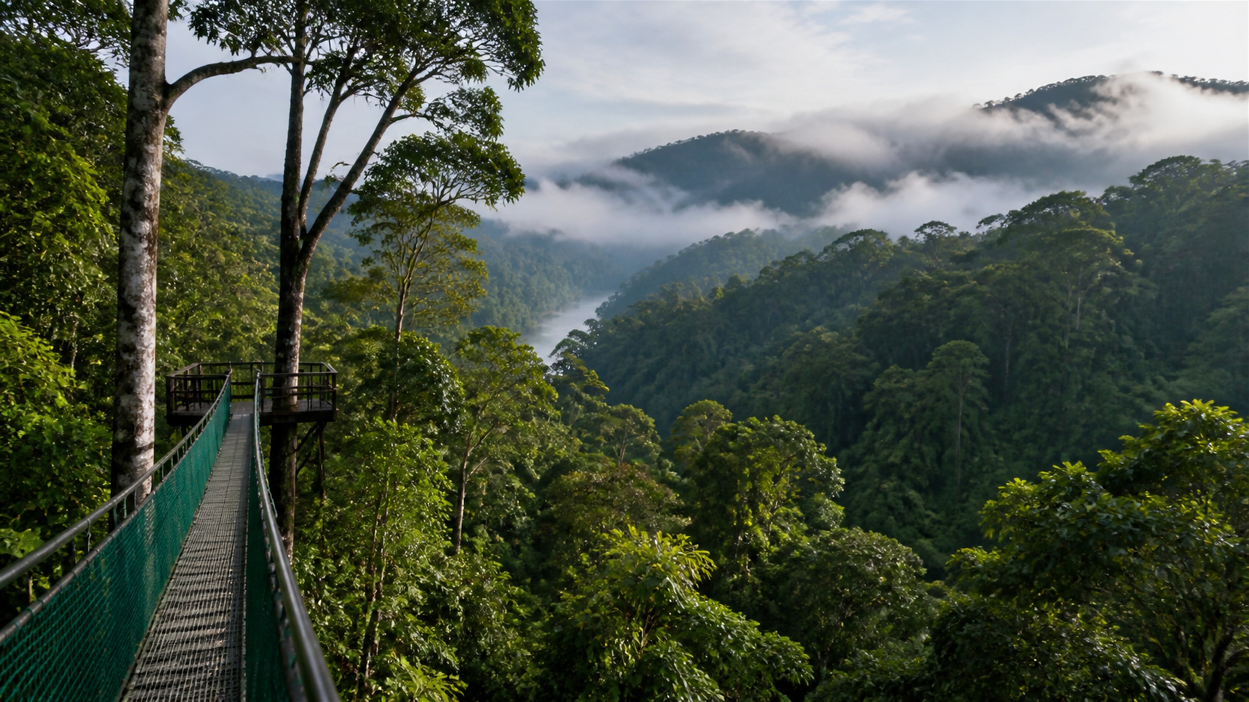 Ulu Temburong planning image for local highlights, cultural context and Brunei route planning