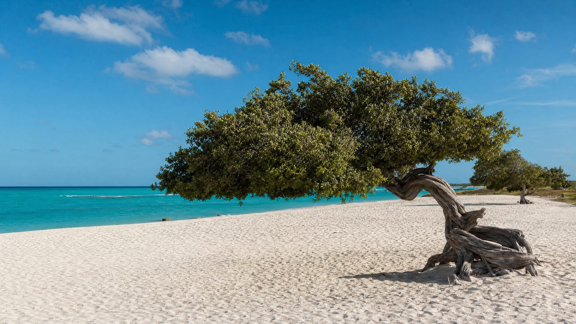 Aruba country travel image for WorldFun planning