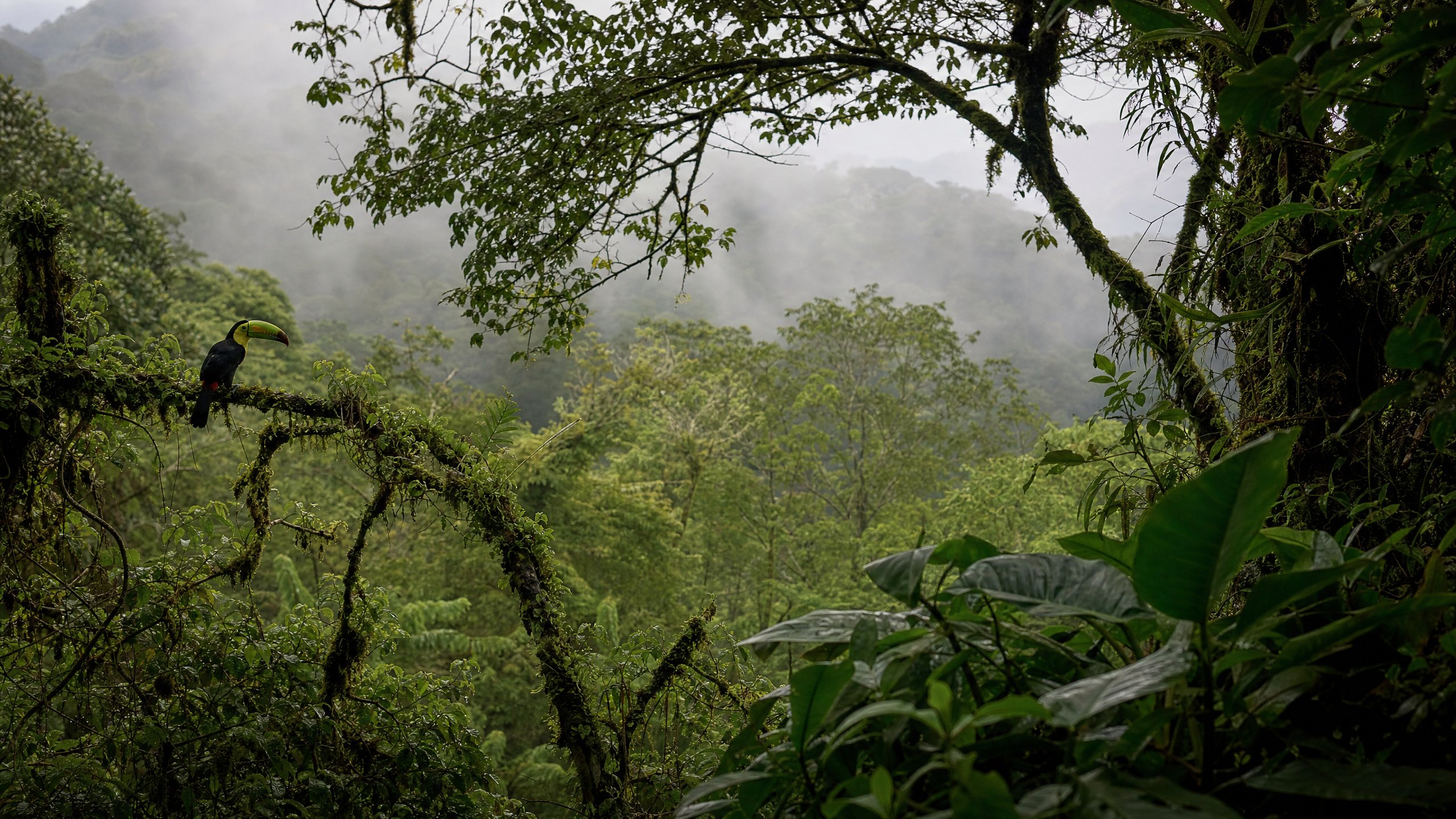Costa Rica country travel image for WorldFun planning