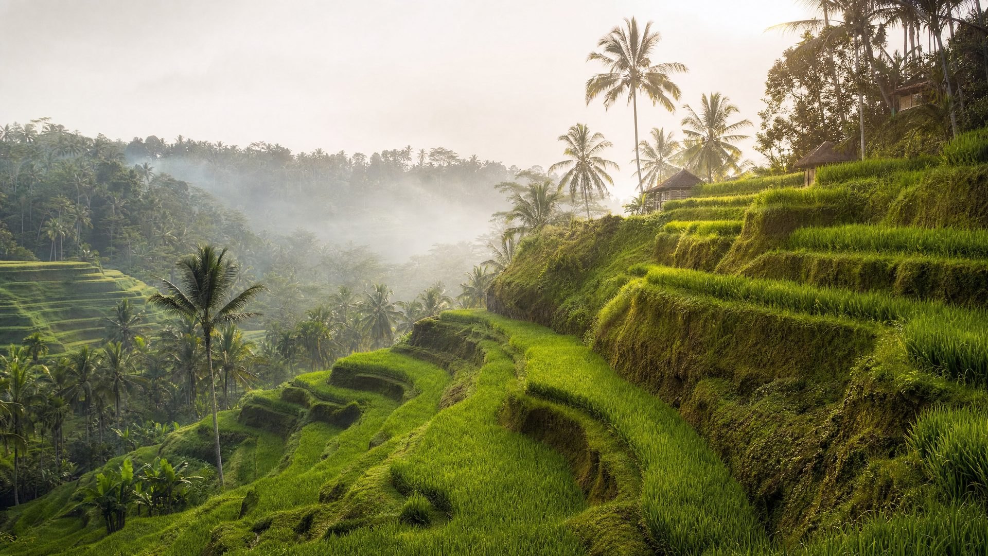 Indonesia country travel image for WorldFun planning