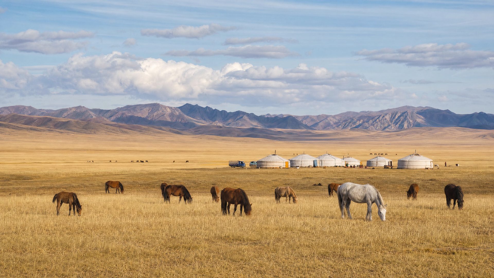Mongolia country travel image for WorldFun planning